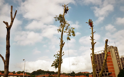 jardinería en gipuzkoa, preparación de terrenos