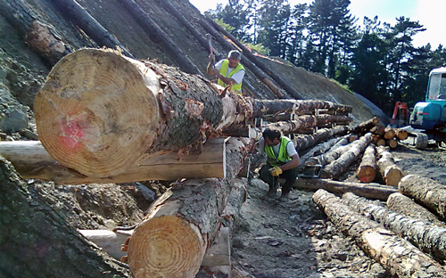 jardinería en gipuzkoa, preparación de terrenos