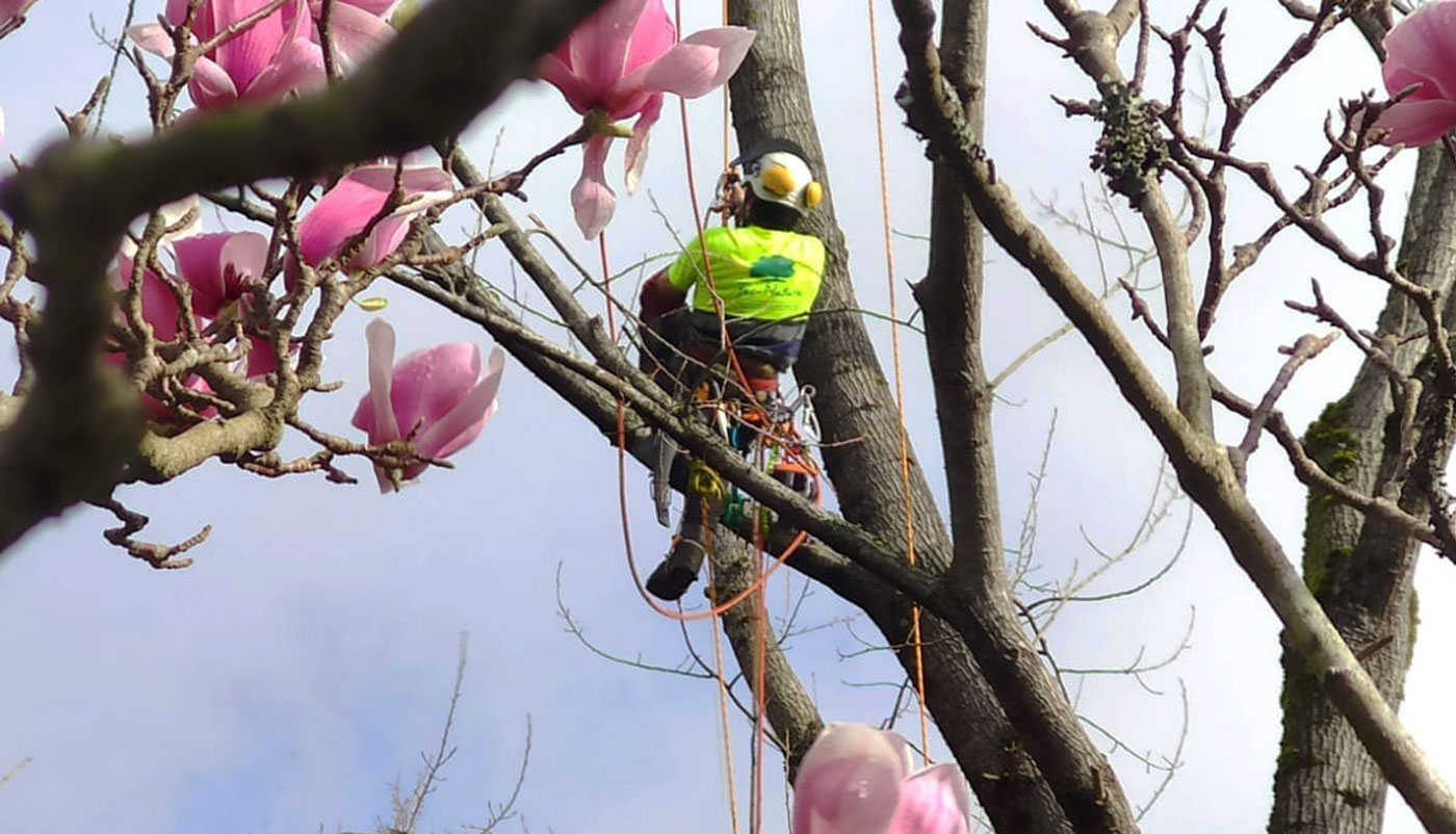 servicios de jardineria en gipuzkoa